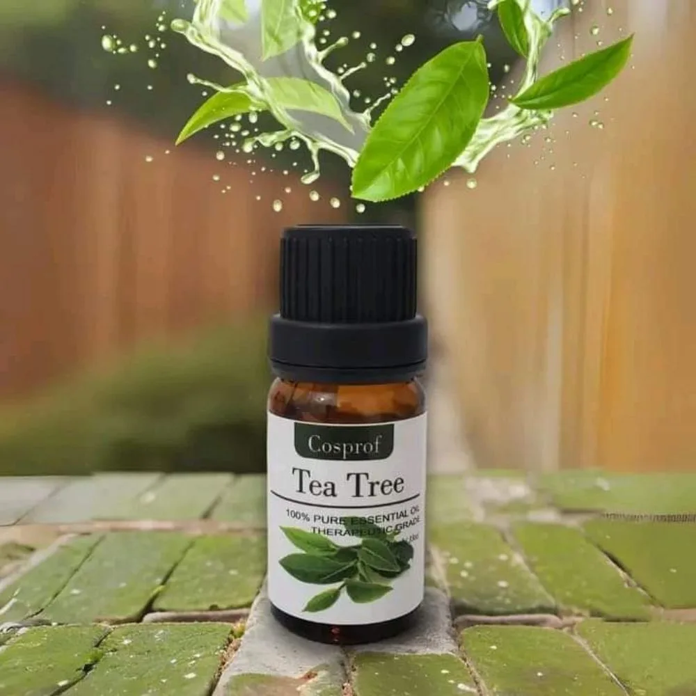 10 Ml Cosprof Tea Tree Essential Oil