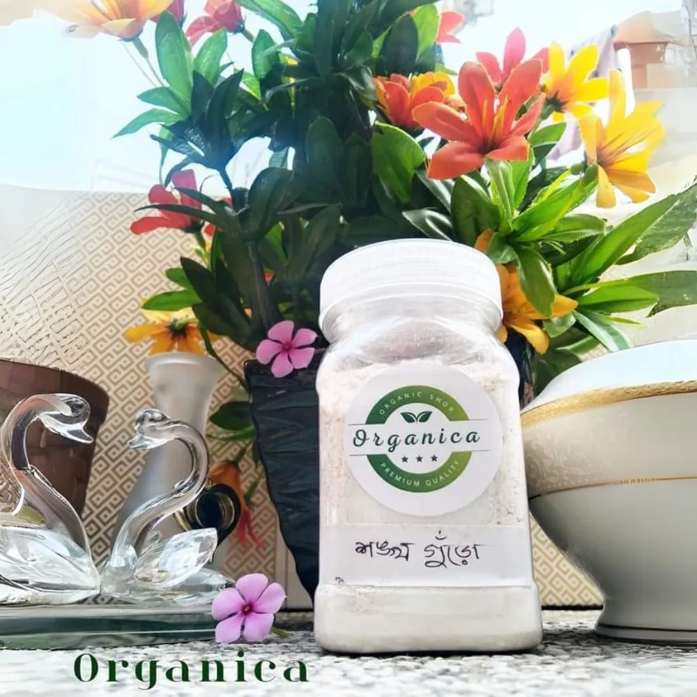 100 Gm Conch Shell Powder